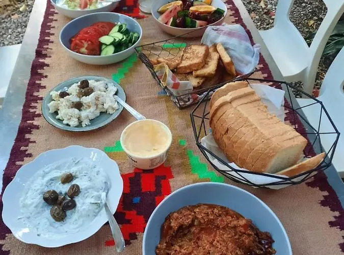 旅馆 扎格扎格旅舍 地拉那