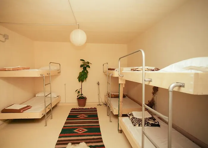 扎格扎格旅舍 *