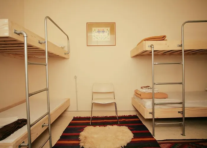 旅馆 扎格扎格旅舍 *